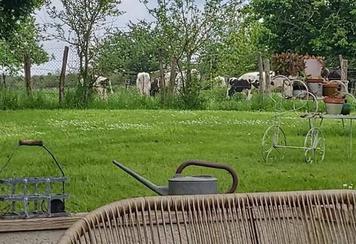 Le Romarande, Cottage détente avec SPA privatif